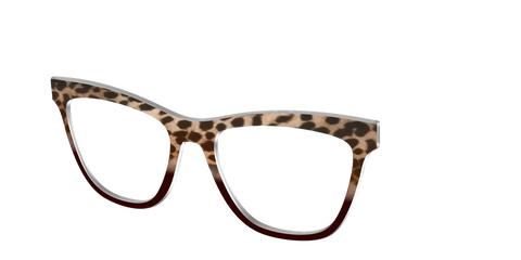 The Jungle Cat Tortoise