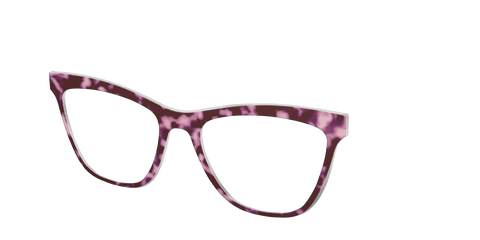 The Maroon Tortoise