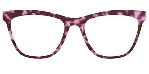 The Maroon Tortoise