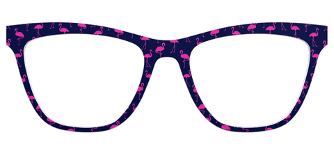 The Navy Flamingos