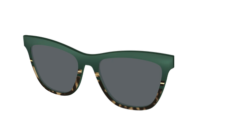 The Polarized Spruce Tortoise Sun Top