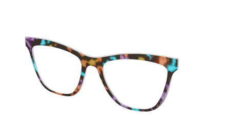 The Summer Tortoise