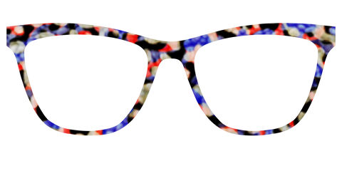 The Tempo Tortoise