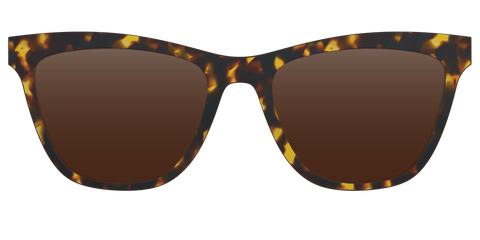 The Polarized Tortoise Sun Top