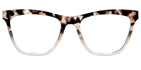 The Vanilla Latte Tortoise