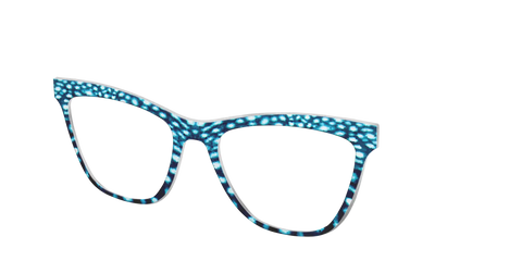 The Whale Shark Spots