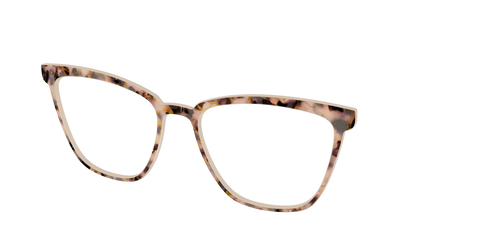 The Almond Tortoise with Gold Streaks