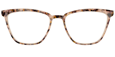 The Almond Tortoise with Gold Streaks