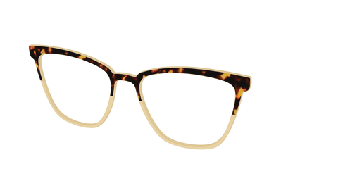 The Amber Tortoise Crystal Split