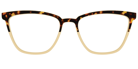 The Amber Tortoise Crystal Split