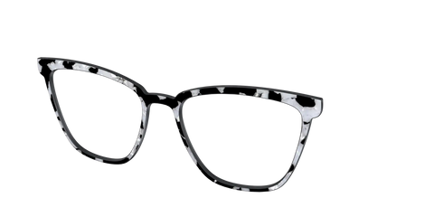 The Black & White Pearl Tortoise