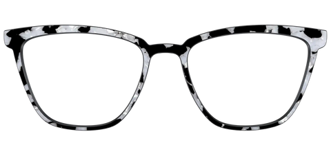 The Black & White Pearl Tortoise
