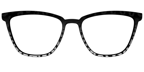 The Black Cheetah