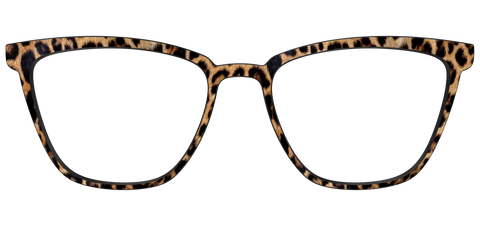 The Cheetah Spots