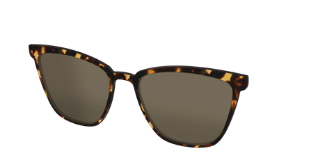 The Non-Polarized Tortoise Sun Top