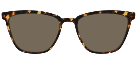 The Non-Polarized Tortoise Sun Top