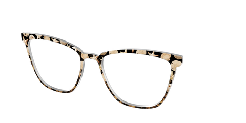 The Ocean Treasures Tortoise