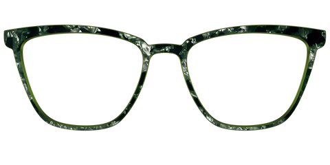 The Olive Pearl Tortoise