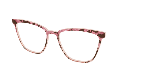 The Pale Peach Pearl Tortoise