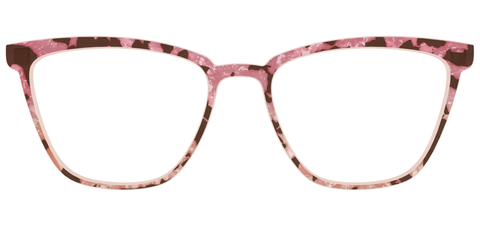 The Pale Peach Pearl Tortoise