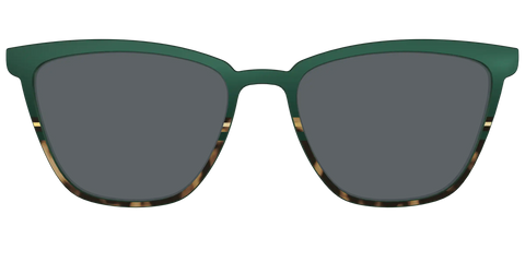 The Polarized Spruce Tortoise Sun Top