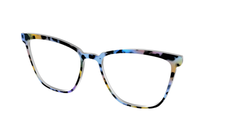 The Positano Tortoise