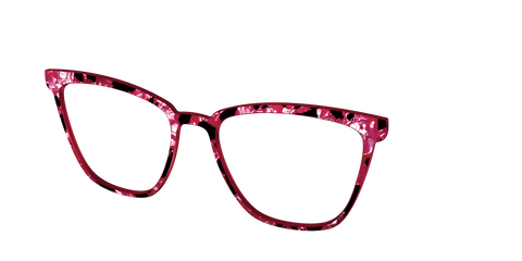 The Raspberry Pearl Tortoise