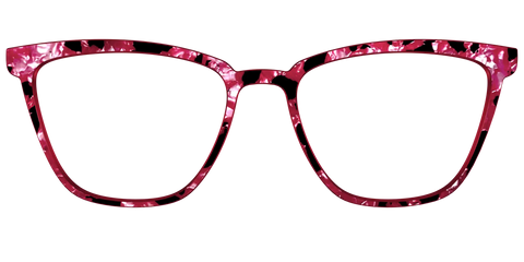 The Raspberry Pearl Tortoise