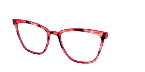 The Red Agate Pearl Tortoise