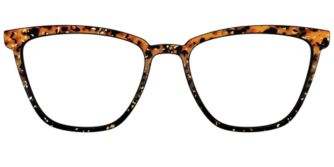The Rustic Gold Leaf Tortoise