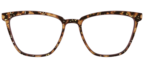 The Sandalwood Tortoise with Gold Foil