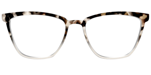 The Vanilla Latte Tortoise