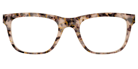 The Almond Tortoise with Gold Streaks