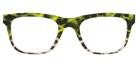 The Avocado to Ivory Tortoise