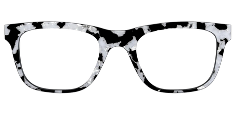 The Black & White Pearl Tortoise