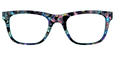 The Black Prismatic Pearl Tortoise