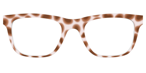 The Caffé Tortoise
