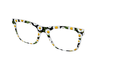 The Delicate Daisies