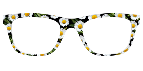 The Delicate Daisies
