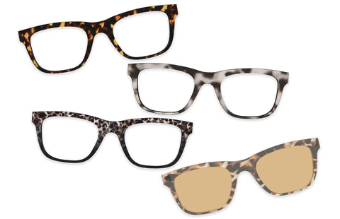 The Everyday Tort Set
