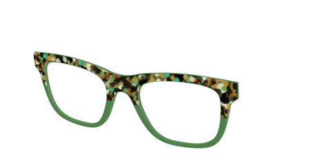 The Forest Tortoise Crystal Split