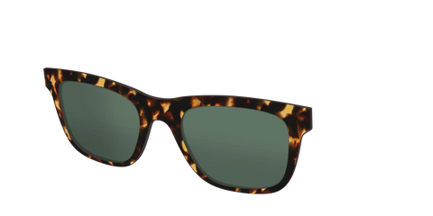 The Non-Polarized Green Tortoise Sun Top