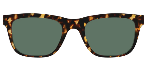 The Non-Polarized Green Tortoise Sun Top