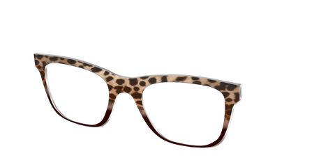 The Jungle Cat Tortoise