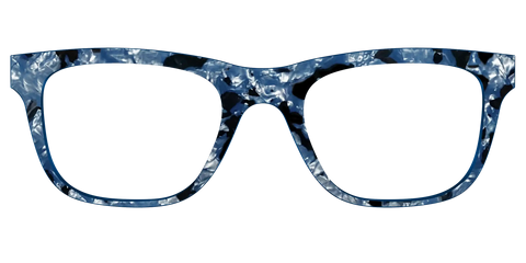 The Midnight Blue Pearl Tortoise