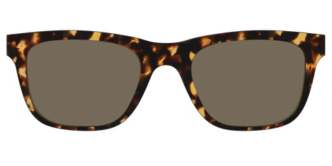 The Non-Polarized Tortoise Sun Top