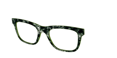The Olive Pearl Tortoise