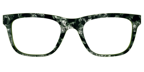 The Olive Pearl Tortoise