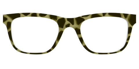 The Olive Tortoise