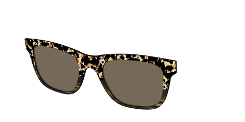 The Polarized Caramel Tortoise Horn Split Sun Top